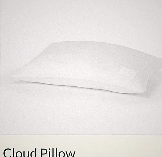 2 Buffy Cloud King Medium Pillows Retail $75 Each